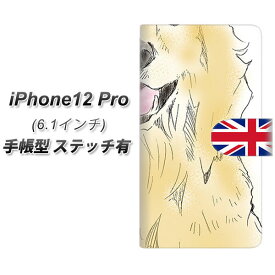iPhone12 Pro 手帳型 スマホケース カバー 【ステッチタイプ】【YD826 ゴールデン02 UV印刷】