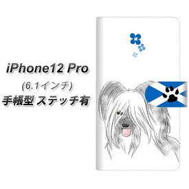 iPhone12 Pro 手帳型 スマホケース カバー 【ステッチタイプ】【YD957 スカイテリア02 UV印刷】