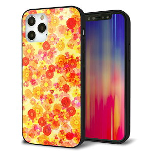 iPhone12 Pro P[X Jo[ X}zP[X w KX TPU Kv yoeBvg t[hpt@ CG[z MMLM