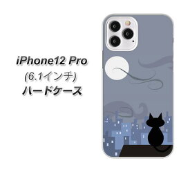 iPhone12 Pro ハードケース カバー 【012 屋根の上のねこ UV印刷 素材クリア】