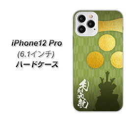 iPhone12 Pro ハードケース カバー 【AB815 毛利元就 UV印刷 素材クリア】