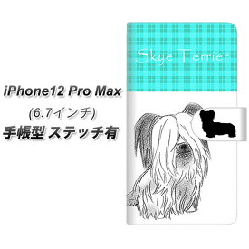 iPhone12 Pro Max 手帳型 スマホケース カバー 【ステッチタイプ】【YD956 スカイテリア01 UV印刷】