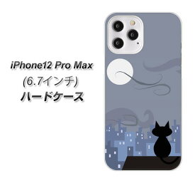 iPhone12 Pro Max ハードケース カバー 【012 屋根の上のねこ UV印刷 素材クリア】