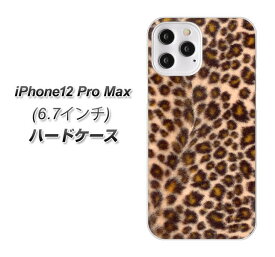 iPhone12 Pro Max ハードケース カバー 【068 ヒョウ茶 UV印刷 素材クリア】