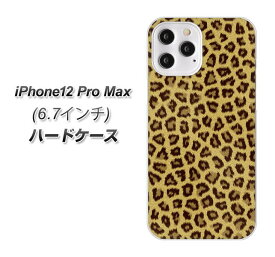 iPhone12 Pro Max ハードケース カバー 【1065 ヒョウ柄ベーシックS ゴールド UV印刷 素材クリア】