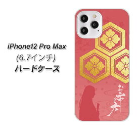 iPhone12 Pro Max ハードケース カバー 【AB822 お市の方 UV印刷 素材クリア】