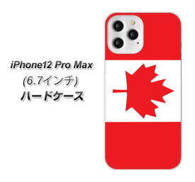 iPhone12 Pro Max ハードケース / カバー【VA976 カナダ 素材クリア】 UV印刷 ★高解像度版(アイフォン12 Pro Max/IPHONE12PM/スマホケース)