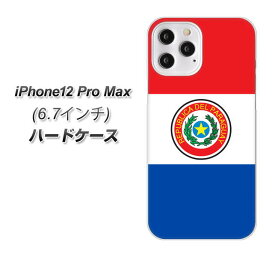 iPhone12 Pro Max ハードケース / カバー【VA982 パラグアイ 素材クリア】 UV印刷 ★高解像度版(アイフォン12 Pro Max/IPHONE12PM/スマホケース)