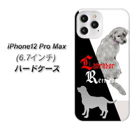 iPhone12 Pro Max ハードケース カバー 【YD822 ラブ03 UV印刷 素材クリア】