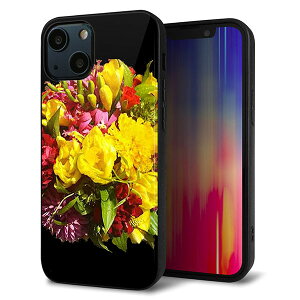 iPhone13 mini P[X Jo[ w KX TPU fUC Kv yYI883 t[4z   MMLM