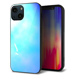 iPhone13 mini �P�[�X �J�o�[ �w�� �K���X TPU �f�U�C�� �K���v�� �yYJ291 �f�U�C�� ���z ��� ���� MMLM