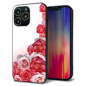 iPhone13 Pro P[X Jo[ w KX TPU fUC Kv y299 KN̕ǁz   MMLM