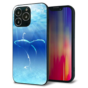 iPhone13 Pro P[X Jo[ w KX TPU fUC Kv y1047 C̎_z   MMLM