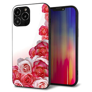 iPhone13 Pro Max P[X Jo[ w KX TPU fUC Kv y299 KN̕ǁz   MMLM