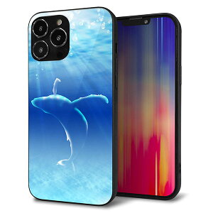 iPhone13 Pro Max P[X Jo[ w KX TPU fUC Kv y1047 C̎_z   MMLM