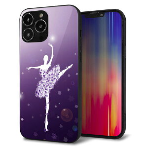 iPhone13 Pro Max �P�[�X �J�o�[ �w�� �K���X TPU �f�U�C�� �K���v�� �y1256 �o�����[�i�z ��� ���� MMLM