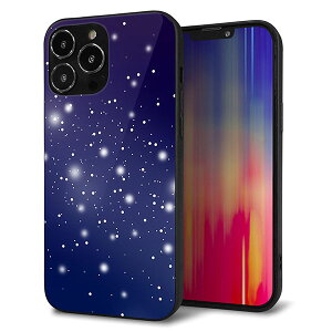 iPhone13 Pro Max �P�[�X �J�o�[ �w�� �K���X TPU �f�U�C�� �K���v�� �y1271 �V��̐�z ��� ���� MMLM