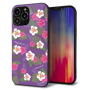 iPhone13 Pro Max P[X Jo[ w KX TPU fUC Kv ySC886 nCAAng p[vz   MMLM