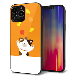 iPhone13 Pro Max �P�[�X �J�o�[ �w�� �K���X TPU �f�U�C�� �K���v�� �yTA018 �H�݂��z ��� ���� MMLM