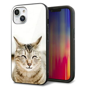 iPhone14 �P�[�X �J�o�[ �w�� �K���X TPU �f�U�C�� �K���v�� �yVA801 �Ε��˂��z ��� ���� MMLM