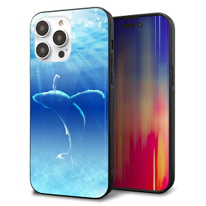 iPhone14 Pro Max P[X Jo[ w KX TPU fUC Kv y1047 C̎_z   MMLM