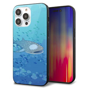 iPhone14 Pro Max P[X Jo[ w KX TPU fUC Kv yHA256 |PbgANAE WxGUz   MMLM