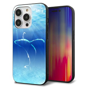 iPhone14 Pro P[X Jo[ w KX TPU fUC Kv y1047 C̎_z   MMLM