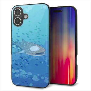 iPhone16 Plus P[X Jo[ w KX TPU fUC Kv yHA256 |PbgANAE WxGUz   MMLM