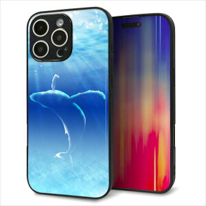 iPhone16 Pro Max P[X Jo[ w KX TPU fUC Kv y1047 C̎_z   MMLM