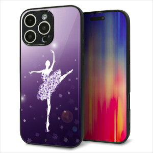 iPhone16 Pro Max P[X Jo[ w KX TPU fUC Kv y1256 o[iz   MMLM