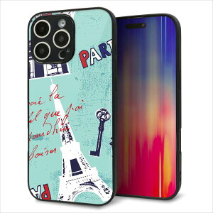 iPhone16 Pro Max �P�[�X �J�o�[ �w�� �K���X TPU �f�U�C�� �K���v�� �yEK812 �r���[�e�B�t���p���u���[�z ��� ���� MMLM