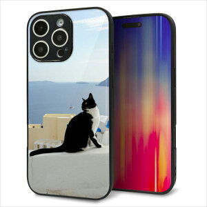 iPhone16 Pro Max �P�[�X �J�o�[ �w�� �K���X TPU �f�U�C�� �K���v�� �yVA805 �l�R�ƒn���C�z ��� ���� MMLM