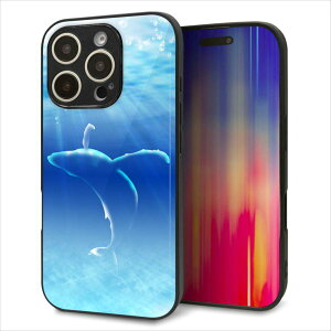 iPhone16 Pro P[X Jo[ w KX TPU fUC Kv y1047 C̎_z   MMLM