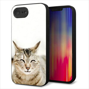 iPhone17e �P�[�X �J�o�[ �w�� �K���X TPU �f�U�C�� �K���v�� �yVA801 �Ε��˂��z ��� ���� MLM