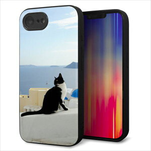 iPhone17e �P�[�X �J�o�[ �w�� �K���X TPU �f�U�C�� �K���v�� �yVA805 �l�R�ƒn���C�z ��� ���� MLM