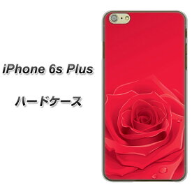 iPhone6s PLUS ハードケース / カバー【395 赤いバラ 素材クリア】★高解像度版(アイフォン6s プラス/IPHONE6SPULS/スマホケース)