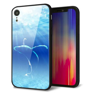 iPhone XR P[X Jo[ w KX TPU fUC y 1047 C̎_ z   MMLM
