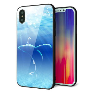 iPhone XS P[X Jo[ w KX TPU fUC y 1047 C̎_ z   MMLM