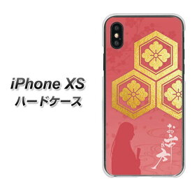 Apple iPhone XS ハードケース カバー 【AB822 お市の方 素材クリア】