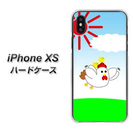 Apple iPhone XS ハードケース / カバー【VB801 空飛ぶニワトリ 素材クリア】 UV印刷 ★高解像度版(アイフォンXS/IPHONEXS/スマホケース)