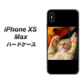 Apple iPhone XS Max ハードケース / カバー【VA804 爆睡するネコ 素材クリア】 UV印刷 ★高解像度版(アイフォンXS Max/IPHONEXSM/スマホケース)