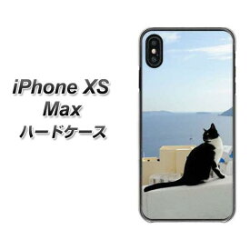 Apple iPhone XS Max ハードケース / カバー【VA805 ネコと地中海 素材クリア】 UV印刷 ★高解像度版(アイフォンXS Max/IPHONEXSM/スマホケース)
