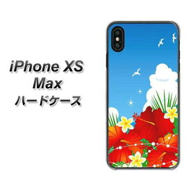Apple iPhone XS Max ハードケース / カバー【VA821 ハイビスカスと青空 素材クリア】 UV印刷 ★高解像度版(アイフォンXS Max/IPHONEXSM/スマホケース)