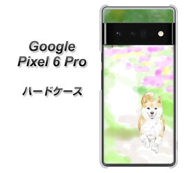 Google Pixel 6 Pro ハードケース カバー 【YJ014 柴犬2 UV印刷 素材クリア】