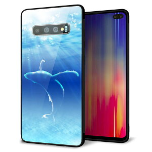 docomo Galaxy S10+ SC-04L P[X Jo[ X}zP[X w KX TPU Kv y1047 C̎_z MMLM