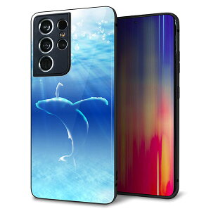 docomo Galaxy S21 Ultra 5G SC-52B P[X Jo[ w KX TPU fUC Kv y1047 C̎_z   MMLM