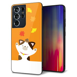 docomo Galaxy S21 Ultra 5G SC-52B �P�[�X �J�o�[ �w�� �K���X TPU �f�U�C�� �K���v�� �yTA018 �H�݂��z ��� ���� MMLM