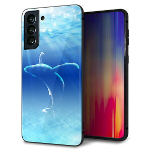 au Galaxy S21 PLUS 5G SCG10 P[X Jo[ w KX TPU fUC Kv y1047 C̎_z   MMLM