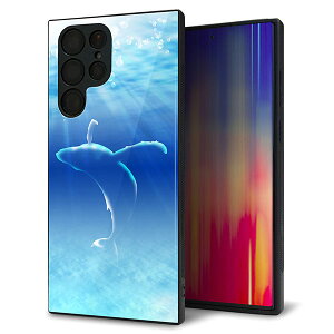 au Galaxy S22 Ultra SCG14 P[X Jo[ w KX TPU fUC Kv y1047 C̎_z   MMLM