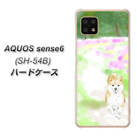 docomo AQUOS sense6 SH-54B ハードケース カバー 【YJ014 柴犬2 UV印刷 素材クリア】